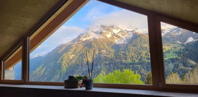 immagine whatsapp24 05 30 ore.06.08 e5d52084